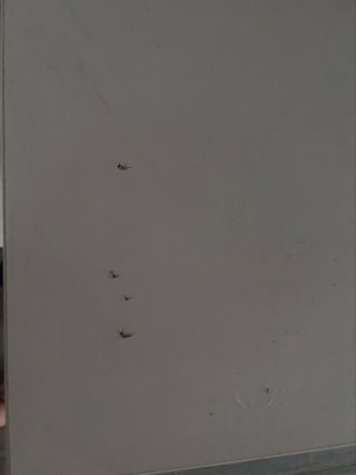 Mesa y 4 Sillas Comedor IKEA