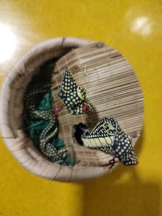 Cesto decorativo con serpientes