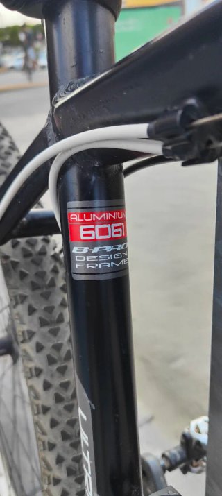 Bicicleta Bpro 29 Aluminio
