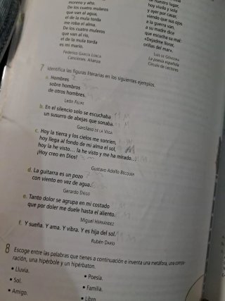Lengua castellana y literatura 1 Secundaria