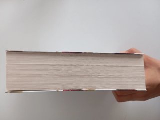 Libro: Un reino de carne y fuego (libro 2)