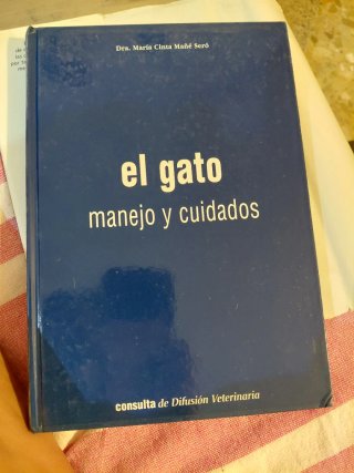 Gato Manejos Y Cuidados El