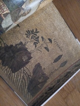 Libro "Venezia" de Federico Motta Editore