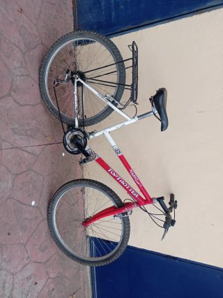 Bicicleta de Montaña TOP TROTTER