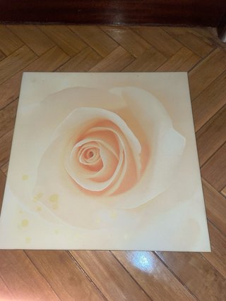 Cuadro Rosa Blanco Decoración