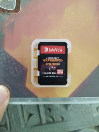 Minecraft Dungeons Hero Edition Nintendo Switch