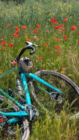 Megamo West carbono talla M - Gravel