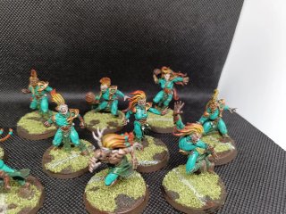 Equipo Blood Bowl Wood Elves