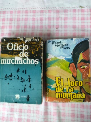 Oficio de muchachos. El loco de montaña