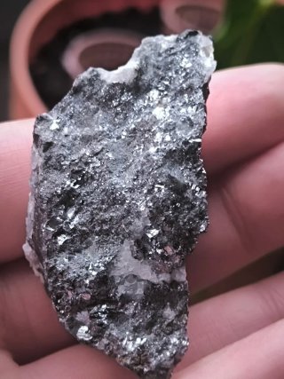 Galena Papiol