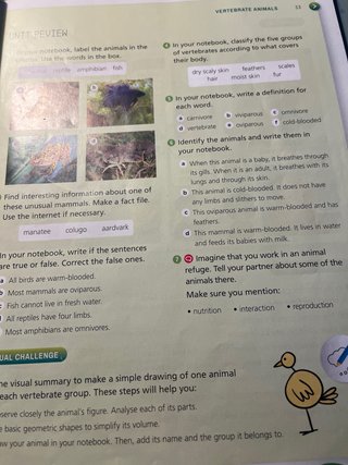 Natural Science, 3 Primary, Outside the Box, ByMe