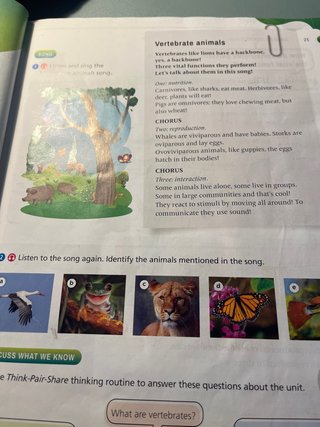 Natural Science, 3 Primary, Outside the Box, ByMe