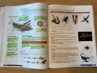 Biología y Geología 1º ESO. Libro del estudiant...