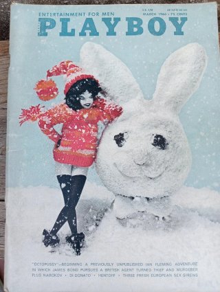 Revistas Play Boy