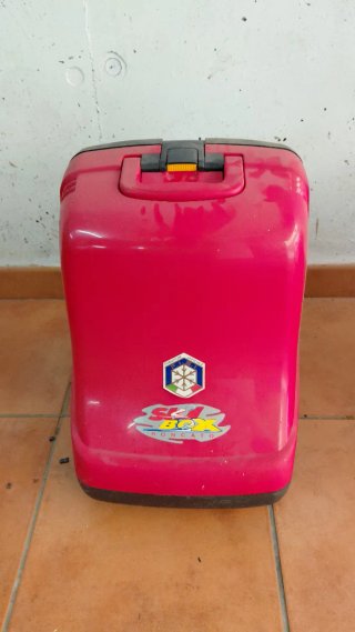 Porta botas de esquí Roncato