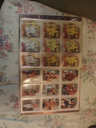 Álbum WWE Lamincards 2007 Completo