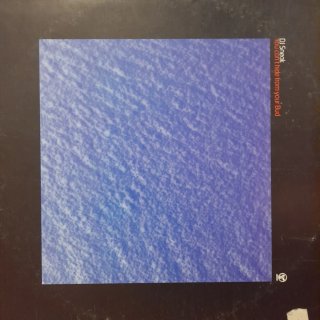 Disco de vinilo house