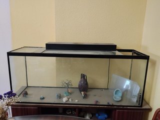 Acuario 100x40x30 cm