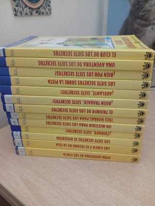 Lote 13 libros Siete secretos y Los cinco
