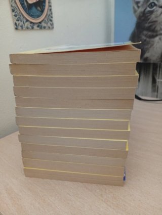 Lote 13 libros Siete secretos y Los cinco