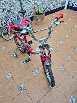 Bicicleta infantil roja con ruedines