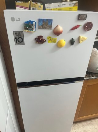 Frigorífico LG Smart Inverter 10 Años Garantía