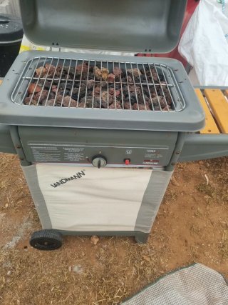 Barbacoa de gas LANDMANN
