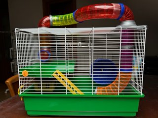 Jaula para hámster con accesorios