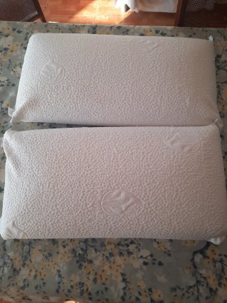 Pack 2 Almohadas Viscoelásticas Aloe Vera