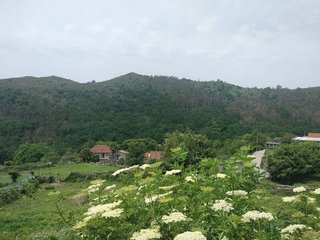 Casa pareada en venta en Lama (A)