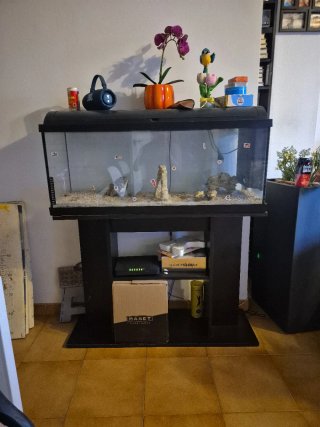 Pecera con soporte y accesorios