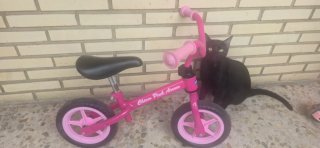 Bicicleta sin pedales rosa