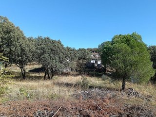 Terreno en venta en Las Zorreras - Monte Encinar en Escorial (El)