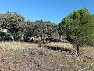 Terreno en venta en Las Zorreras - Monte Encinar en Escorial (El)