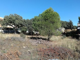 Terreno en venta en Las Zorreras - Monte Encinar en Escorial (El)