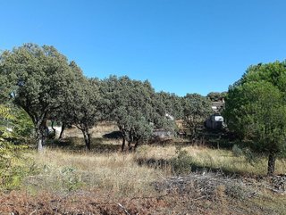 Terreno en venta en Las Zorreras - Monte Encinar en Escorial (El)
