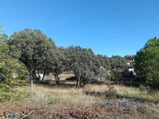 Terreno en venta en Las Zorreras - Monte Encinar en Escorial (El)