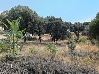 Terreno en venta en Las Zorreras - Monte Encinar en Escorial (El)