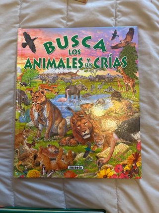 Pack Libros dinosaurios y animales variados