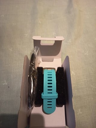 Reloj Garmin Forerunner 55 Azul