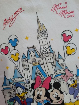 Camisetas Disneyland personalizadas