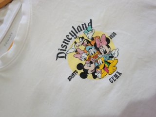 Camisetas Disneyland personalizadas