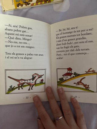 Pack 4 libros juveniles en valenciano/catalan.
