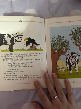 Pack 4 libros juveniles en valenciano/catalan.