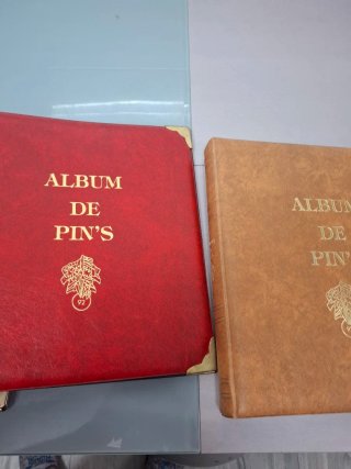 Álbumes para pins