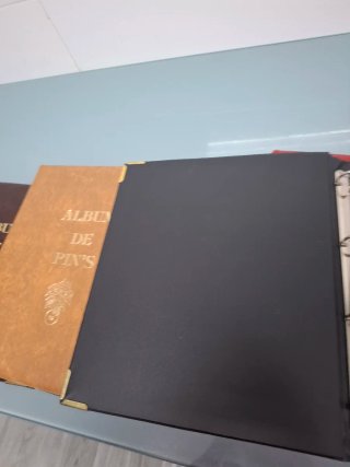 Álbumes para pins