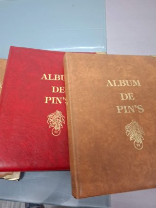 Álbumes para pins
