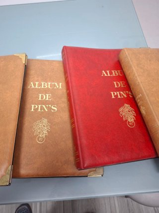 Álbumes para pins