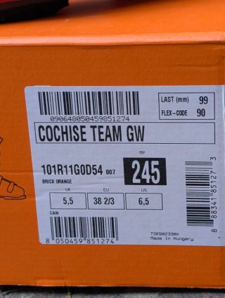 Botas de esquí Tecnica Cochise Team GW