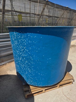 Bidones 2000L Azul